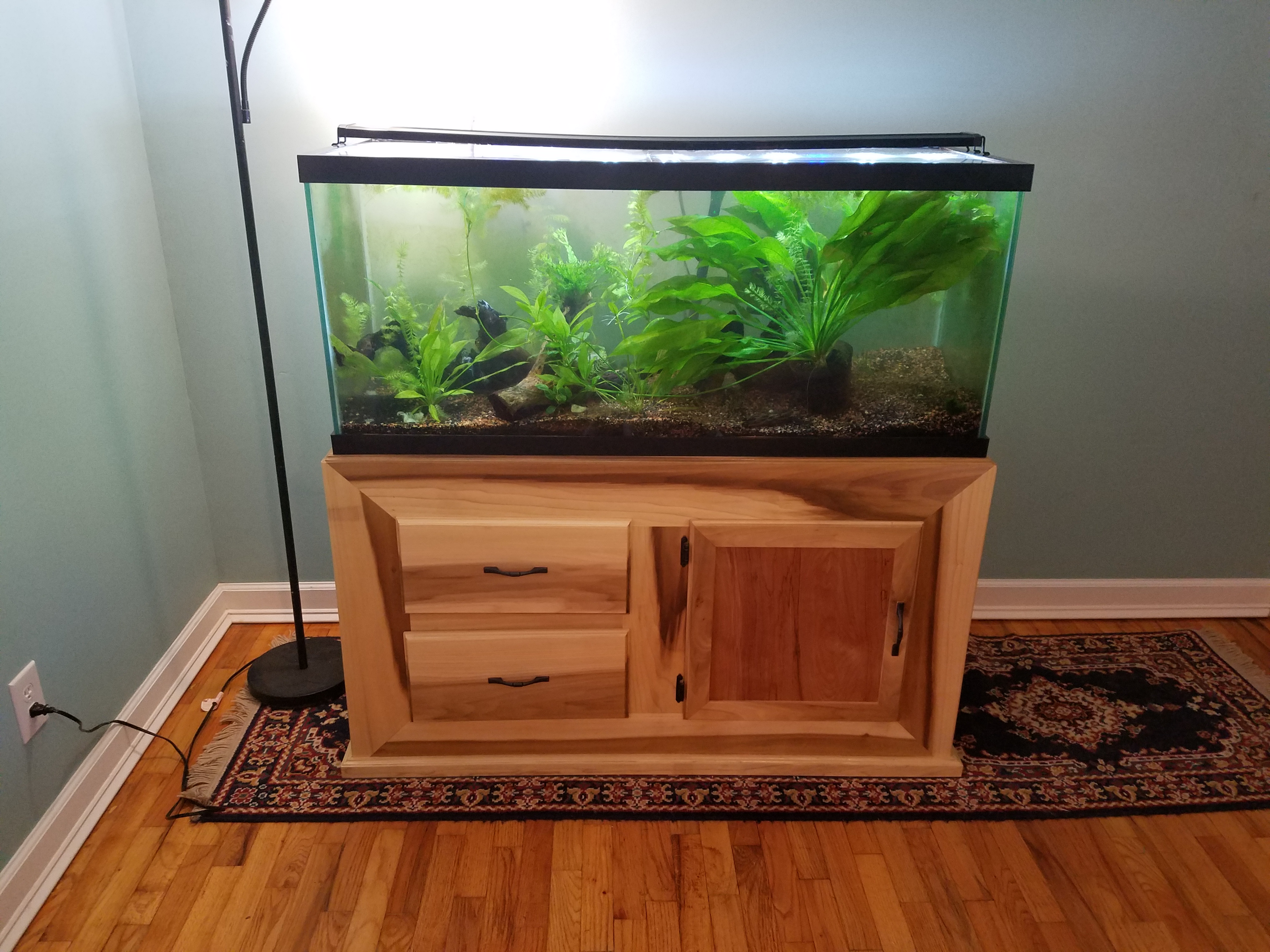 Poster for Tank Stand